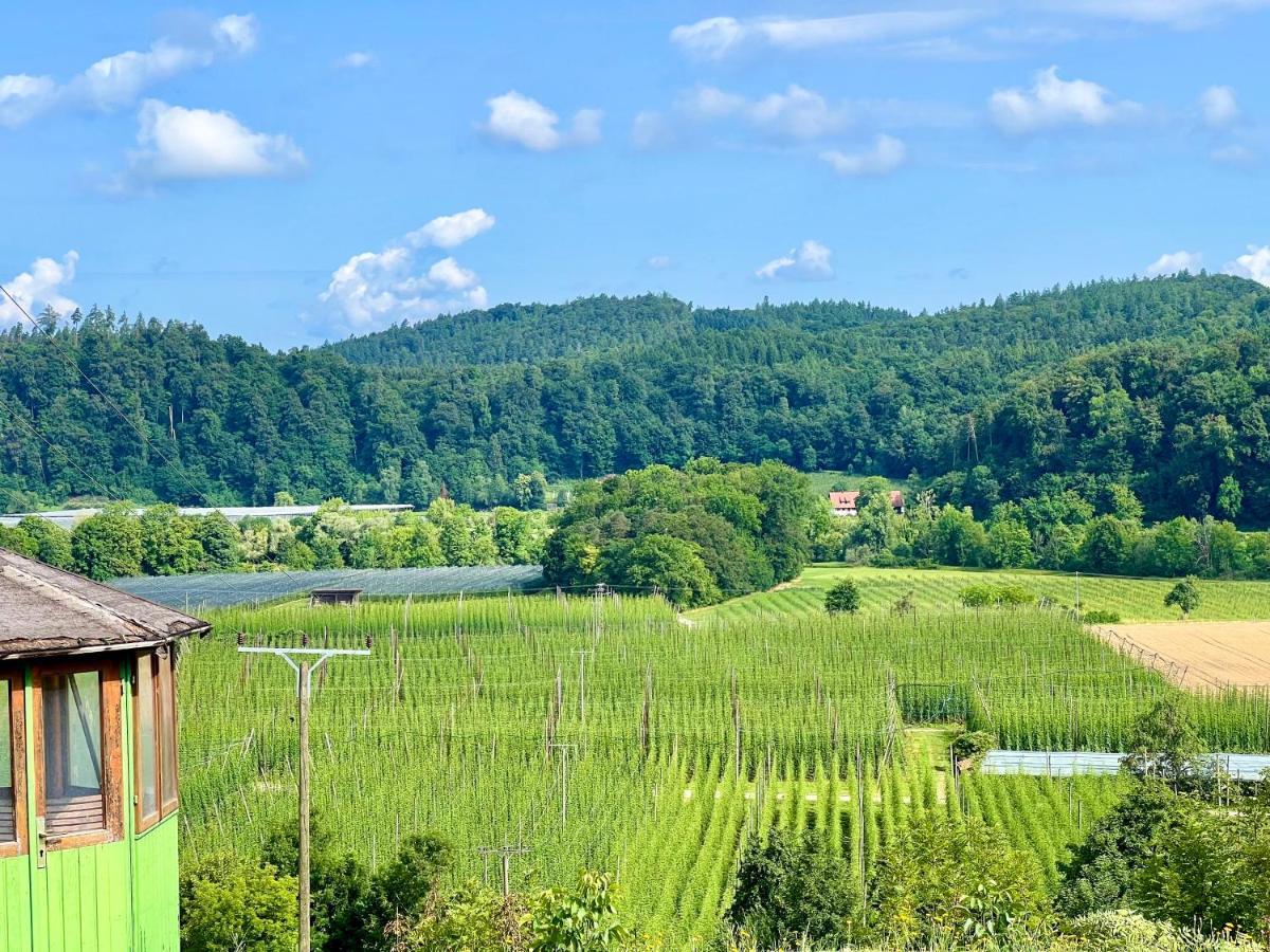 Einzigartiger Panoramablick, Bodensee Und Messe In Der Naehe 테트낭 외부 사진